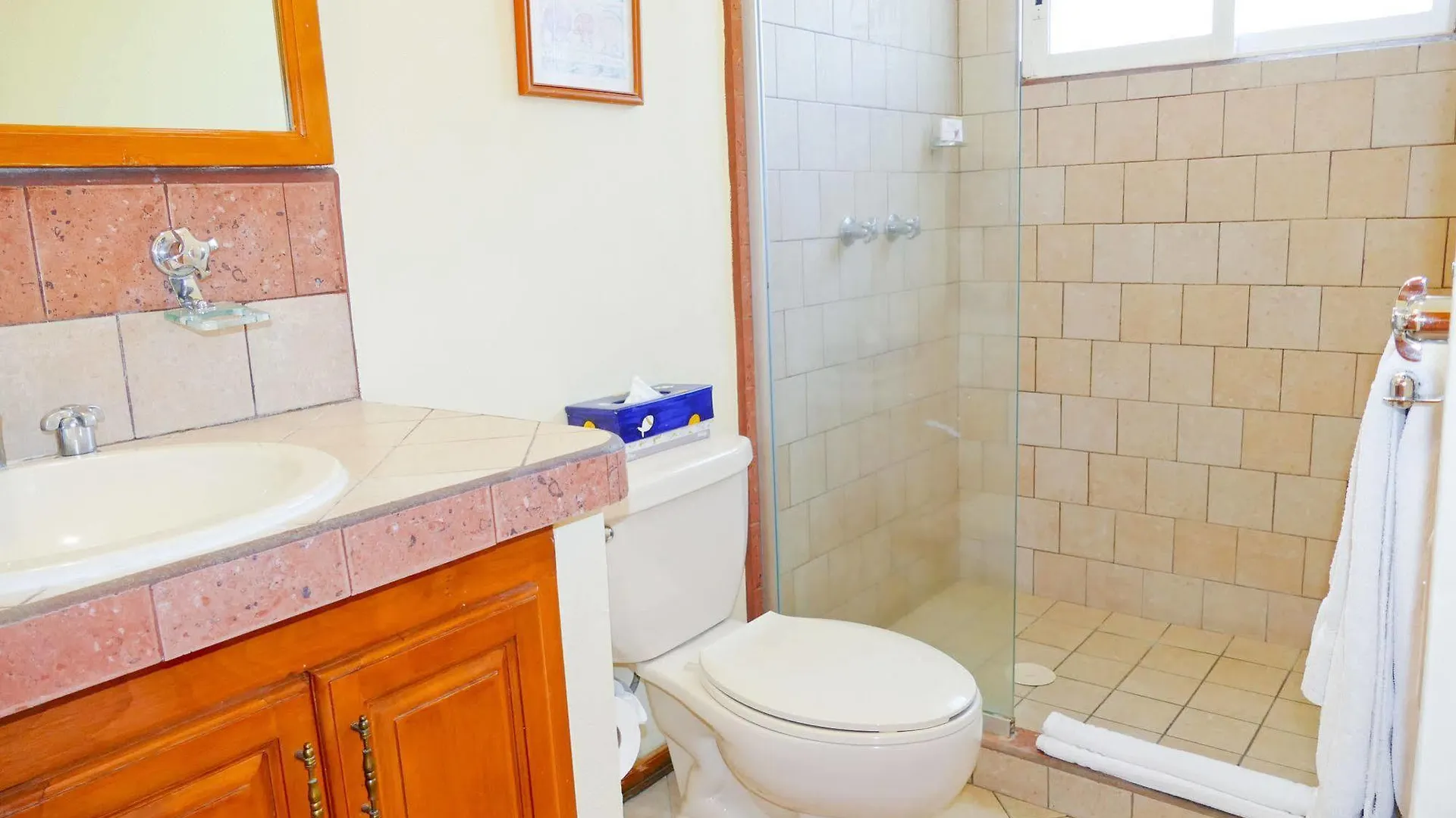 El Ameyal Hotel And Family Suites Cabo San Lucas